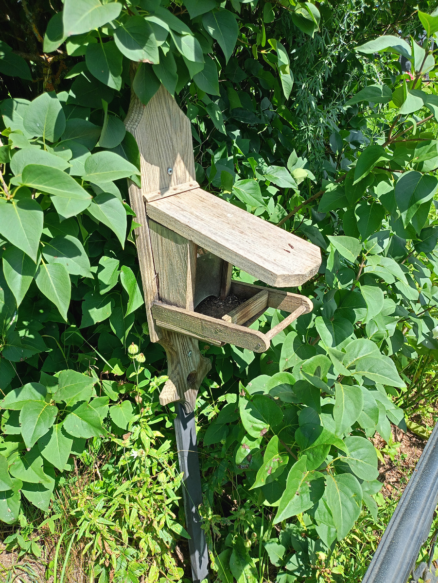 Кормушка для птиц на кладбище. Даже в таком месте есть место добру. 