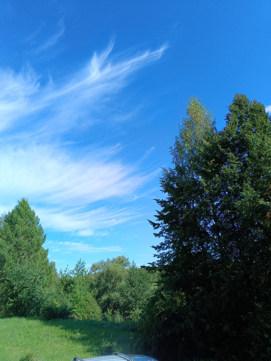 Фото автора с балкона сегодня.