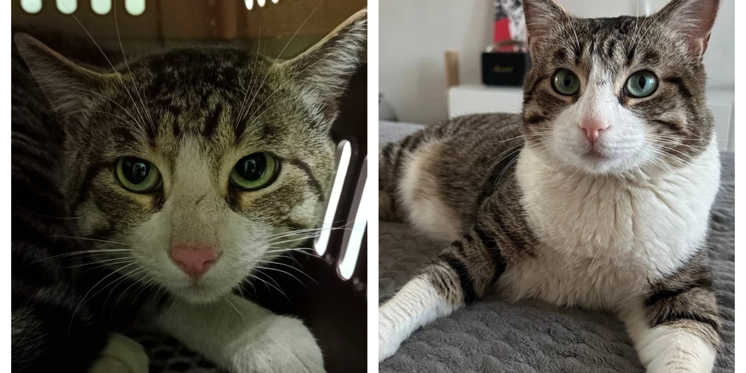 До и после: как преобразились наши подопечные