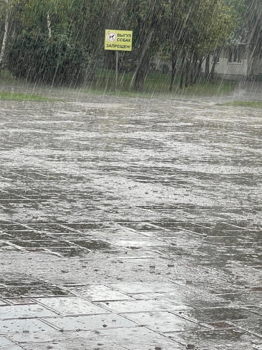    Фото из архива Progorod