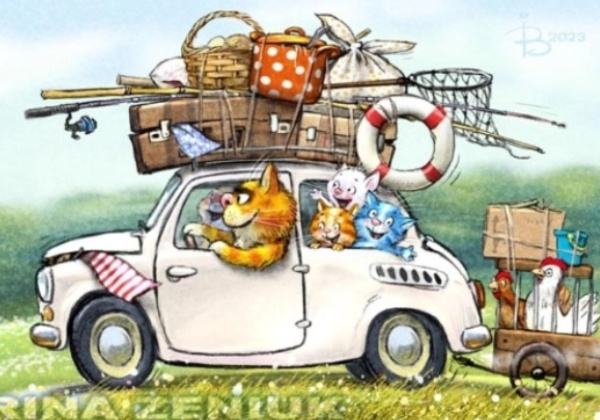 Источник изображения : vk.com›rinazeniuk