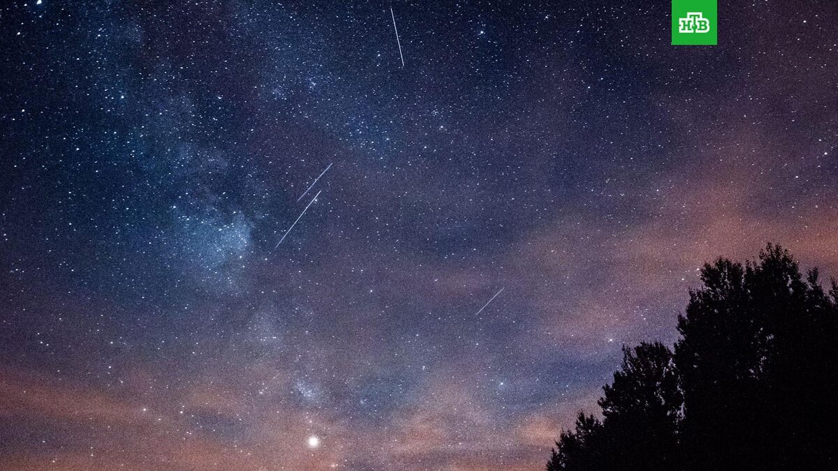    Фото: Michat Mancewicz / unsplash.com