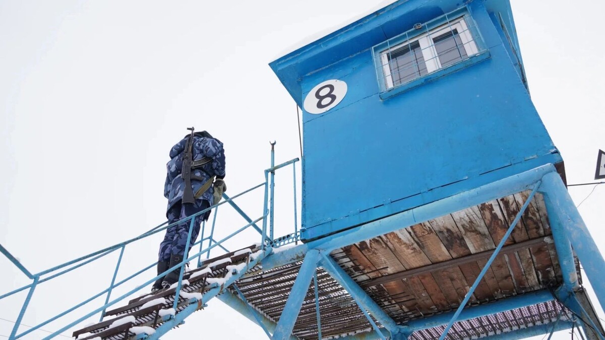    Фото: Юлия Чудинова / «Ямал-Медиа»