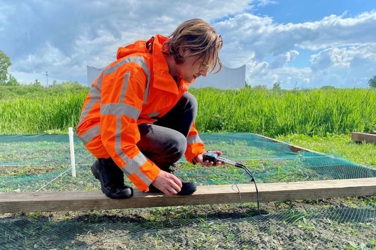    Фото: Witteveen+Bos