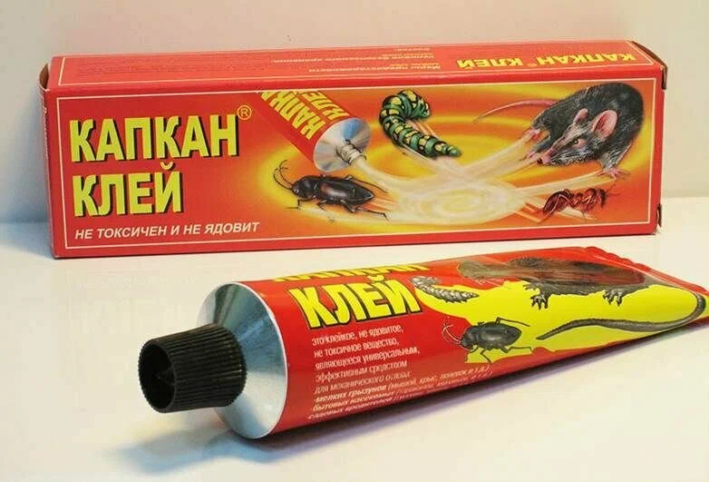 Клей для мышей