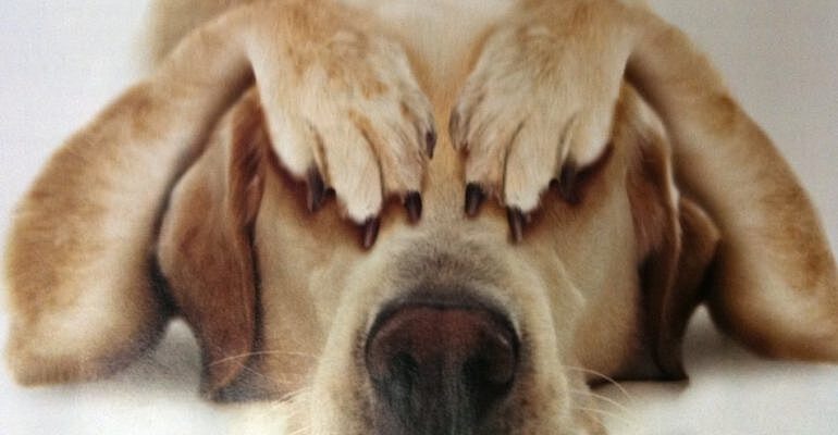 Тот самый момент, когда хочется провалиться сквозь землю... Знакомо?