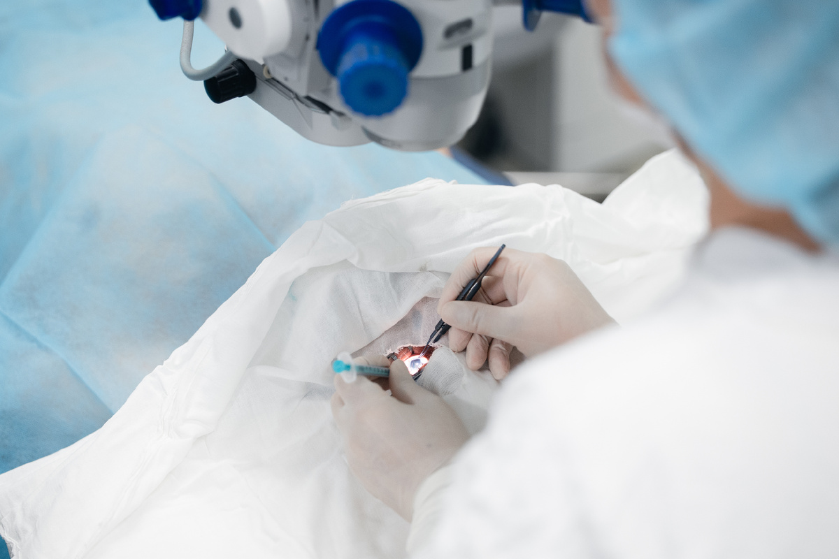 Фото: Евгений Парилов