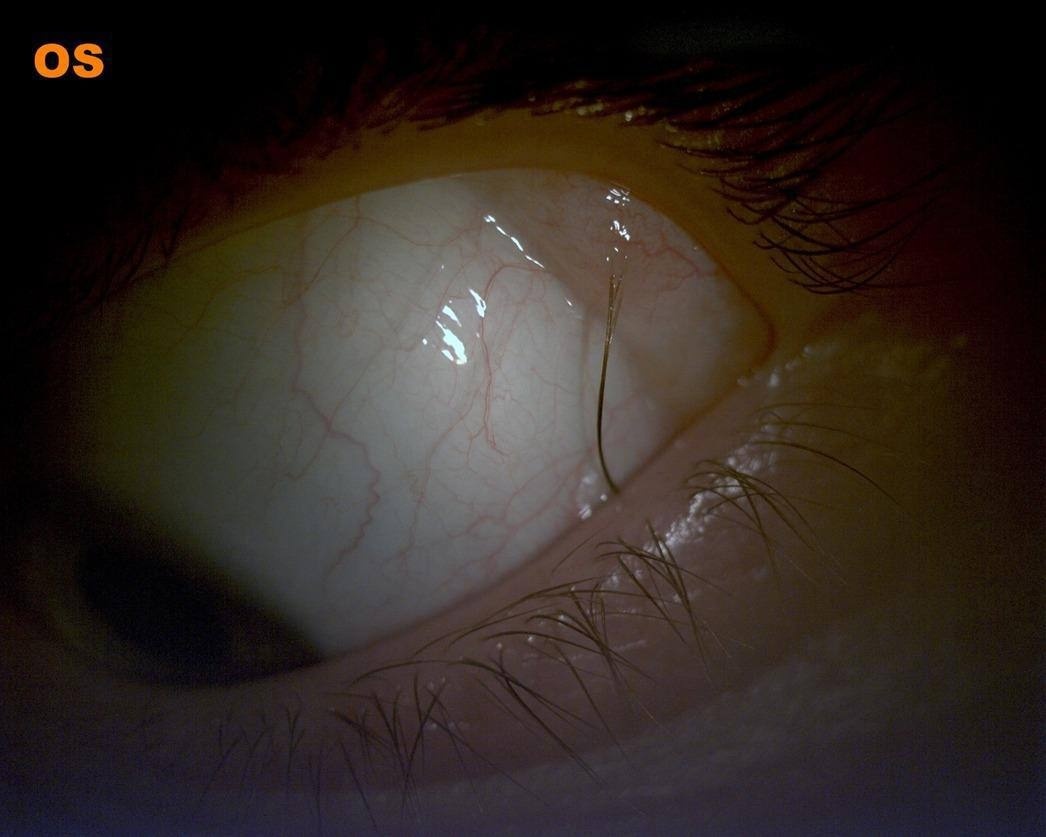 Источник фото: пресс-служба Детского клинического центра им. Л. М. Рошаля