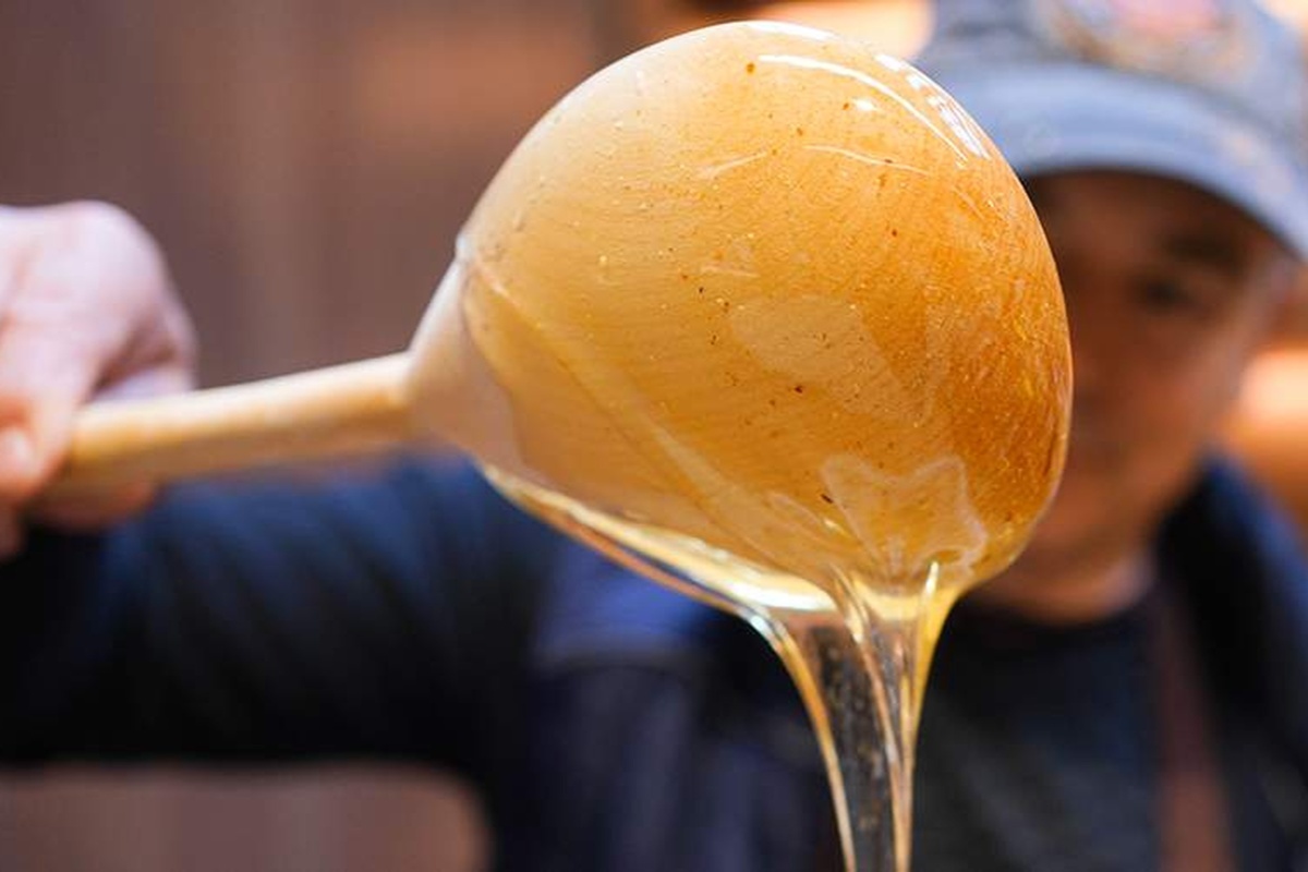    Анна Селина Источник: iz.ru