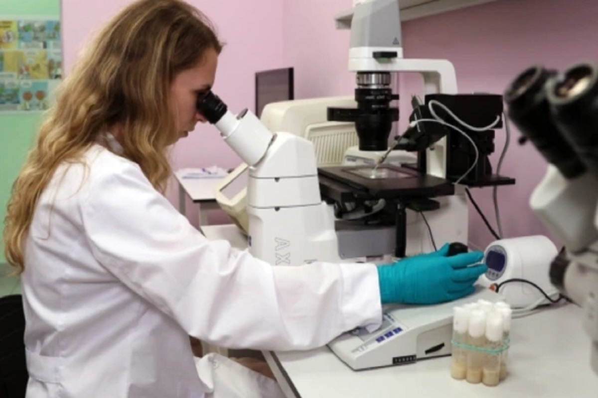    фото: Павел Львов, источник: РИА Новости