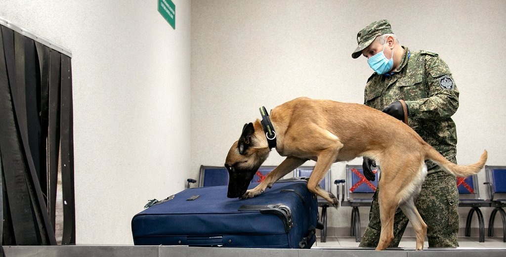    В аэропорту Сургута сожгли заражённый багаж пассажиров из Таджикистана