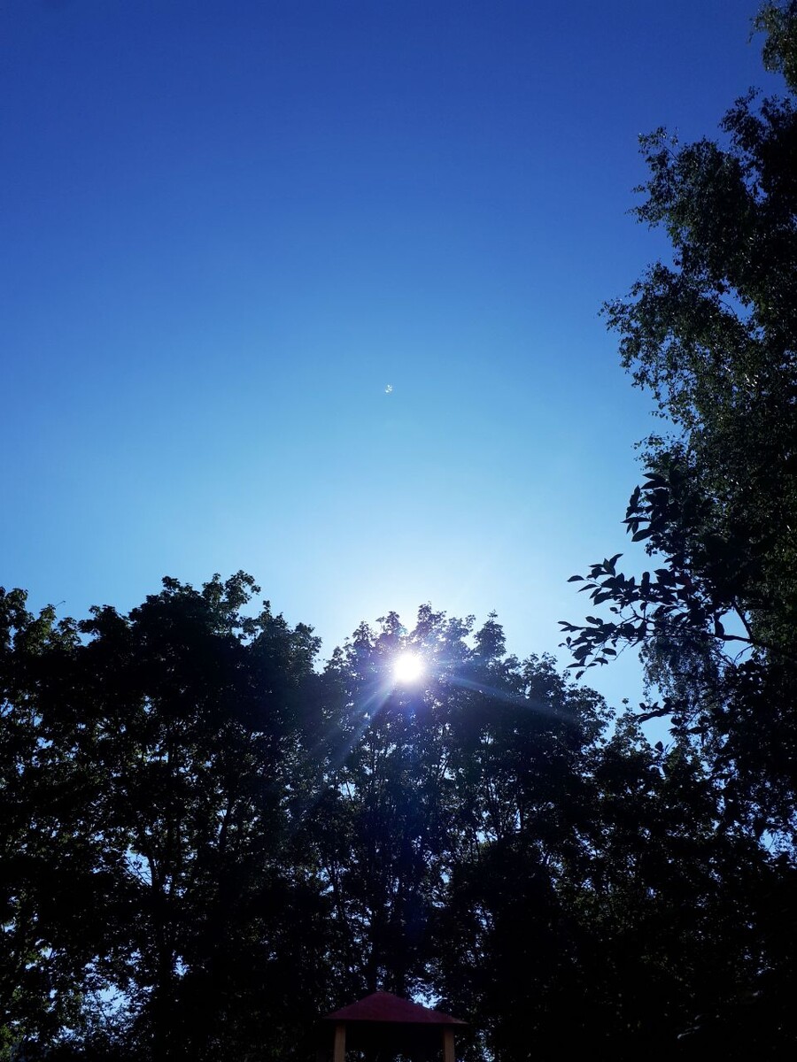 Фото автора статьи 06.08.2025г.