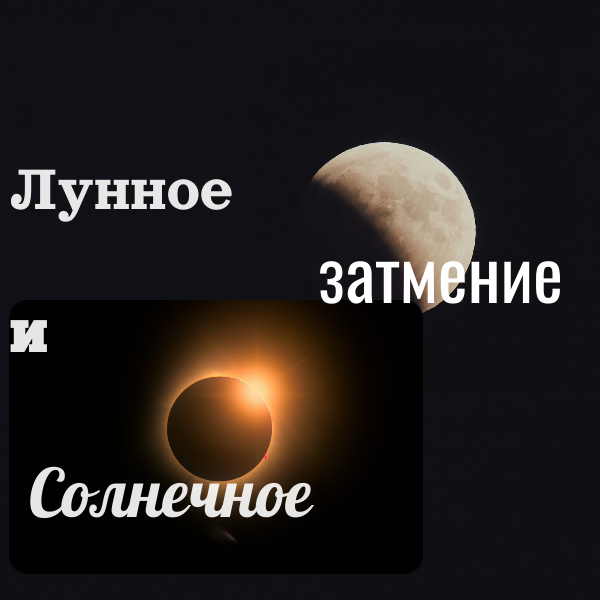 картинка автора