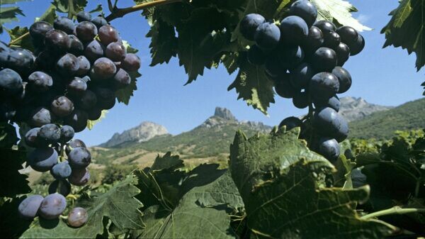    © РИА Новости . Вячеслав Бобков