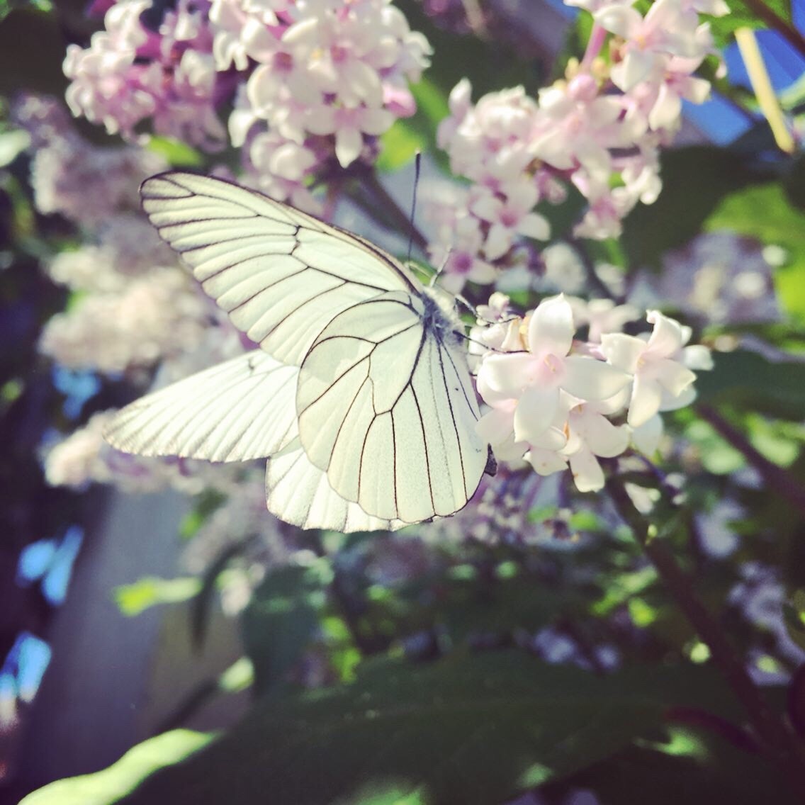 Фото из личного архива