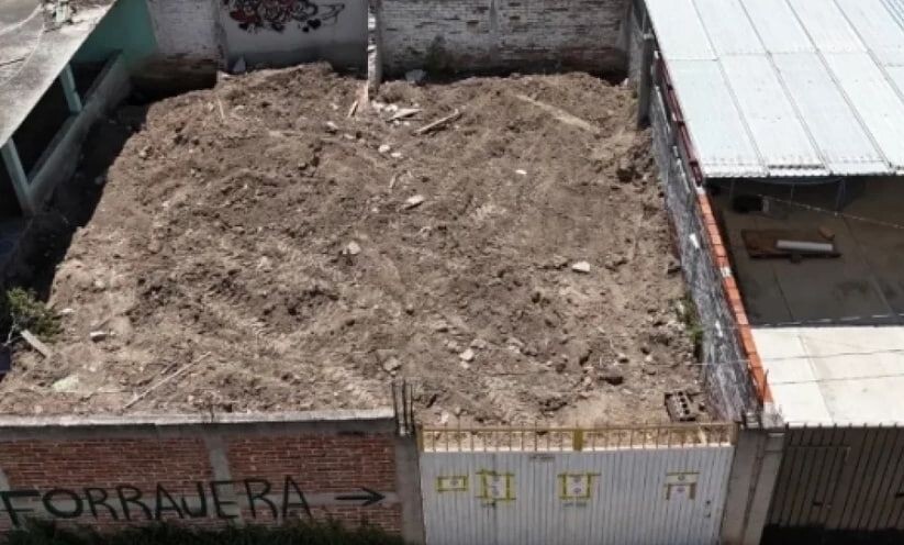     / Источник: Социальные сети