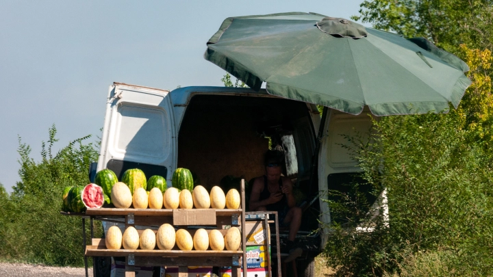 Фото: Svetlana Vozmilova/Global Look Press