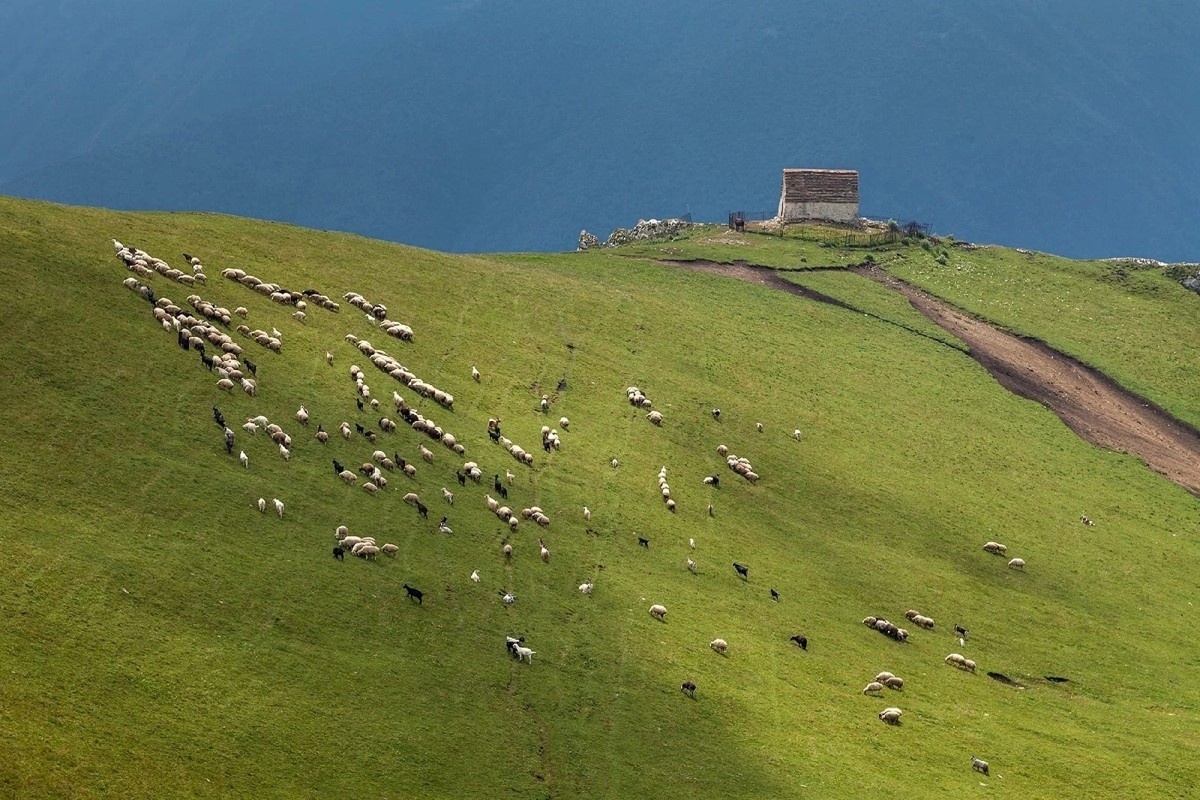 Фото: vk.com/armkhiru