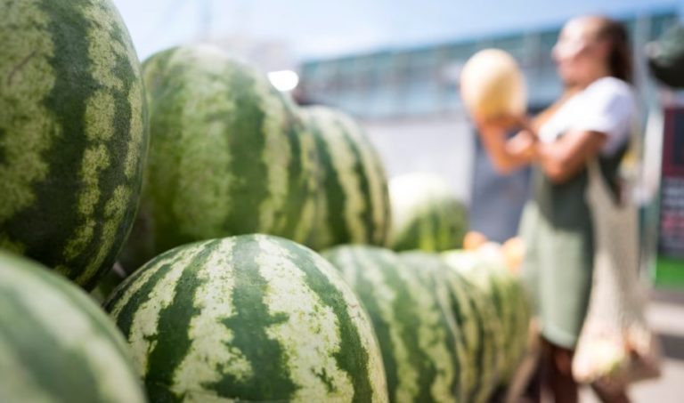    Фото: freepik.com/free-photo Анфиса Слепцова