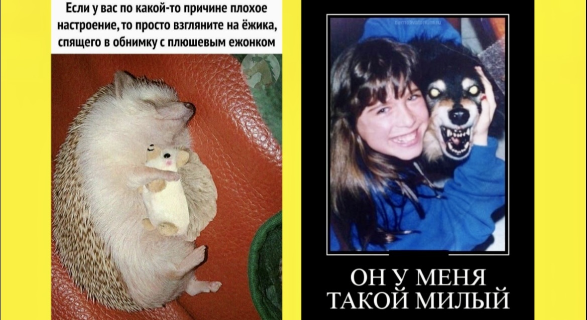 Немного ЮМОРА 🤣про нас красивых❗МЕМЫ с шутками для хорошего настроение "солянка" уморительно смешных фото и картинок