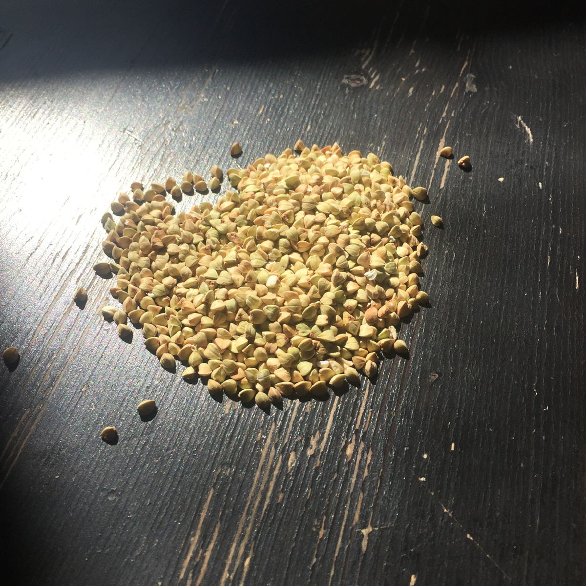 Зелёная гречка