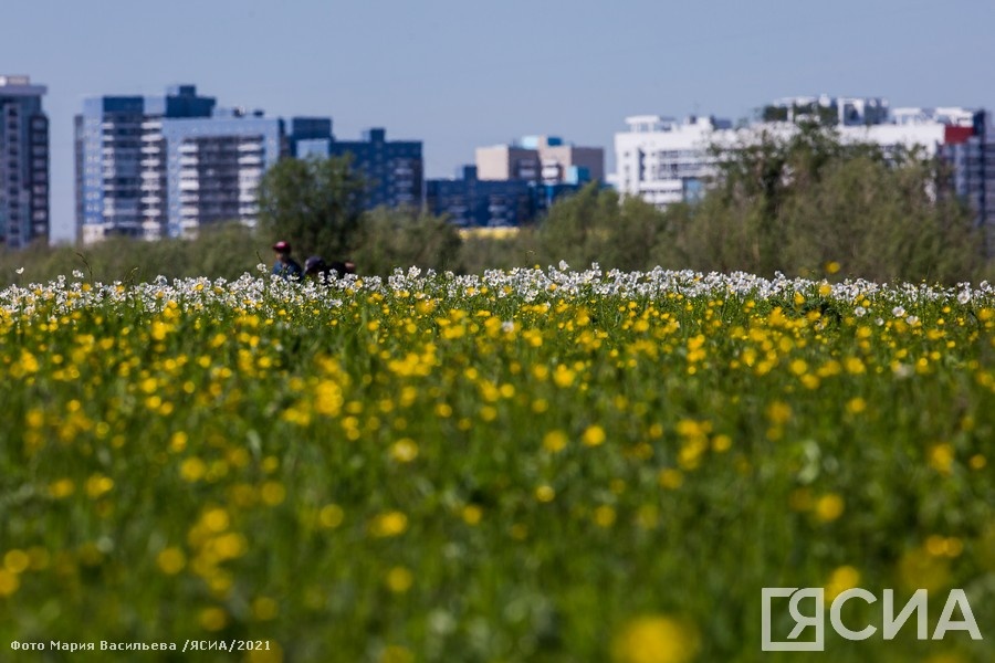 Фото: Мария Васильева, ЯСИА
