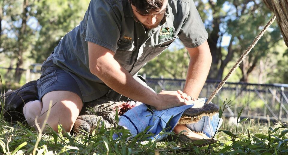    Cover Images/Keystone Press Agency / www.globallookpress.com