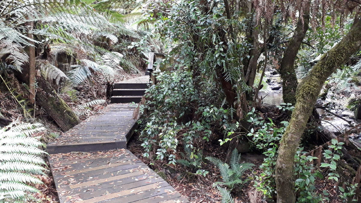 Мосточки в совершенно "диком" лесу