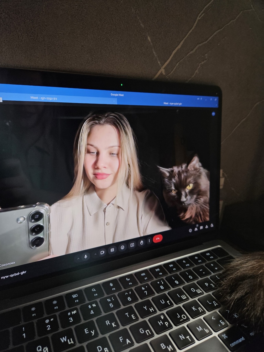 На фото - мой самый верный помощник. Есть дополнительная опция - вызвать на встречу кота Оливье, но это уже за отдельную вкусняшку 👋