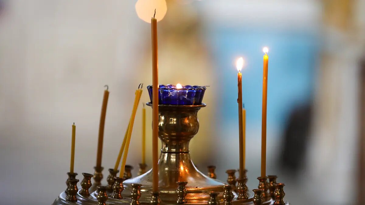    Фото: vm.ru Полина Белоусова