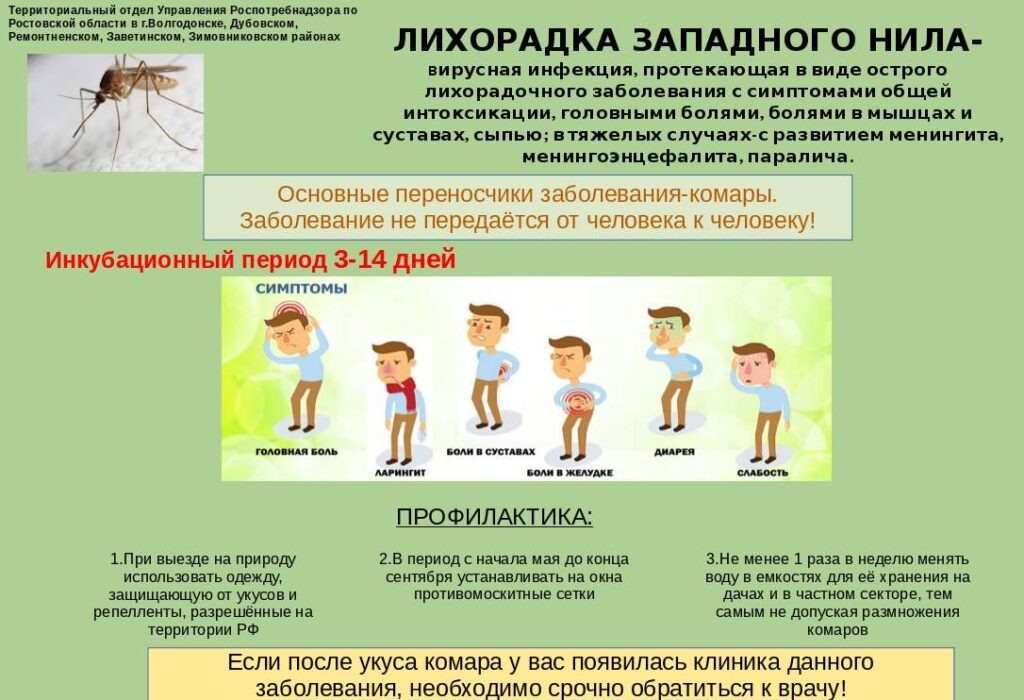    Плакат — Роспотребнадзор Светлана ГОРЯЧЕВА