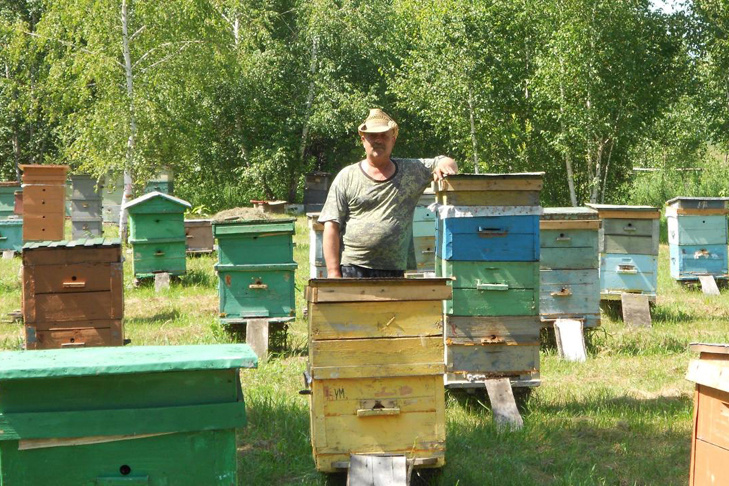    Фото предоставлено Анной Сивцовой