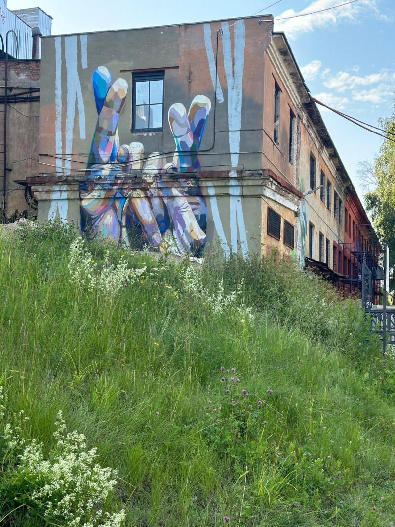    Популярный у туристов мурал на стене бывшего здания ОТЗ в Петрозаводске закрасилиАлександра Сухова