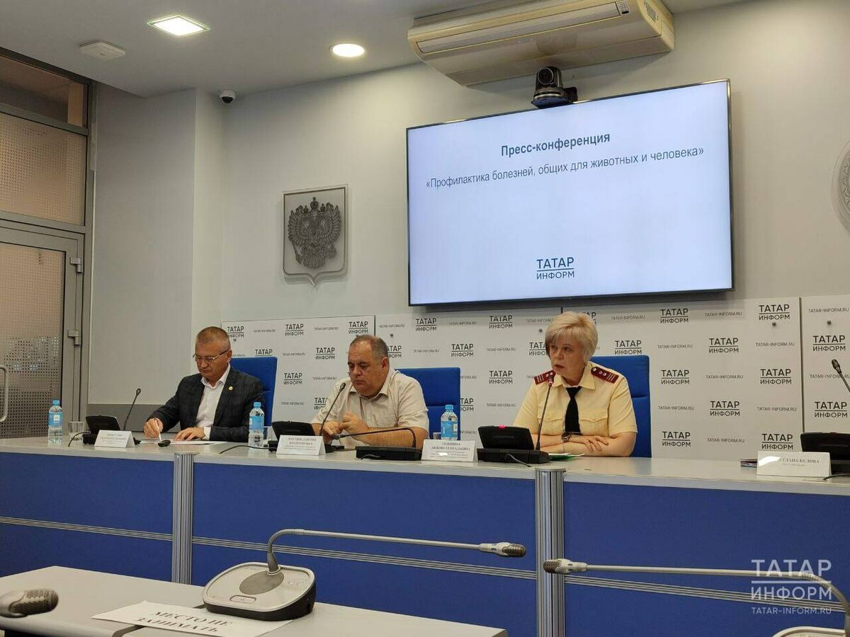 Фото: © Елена Фенина / «Татар-информ»