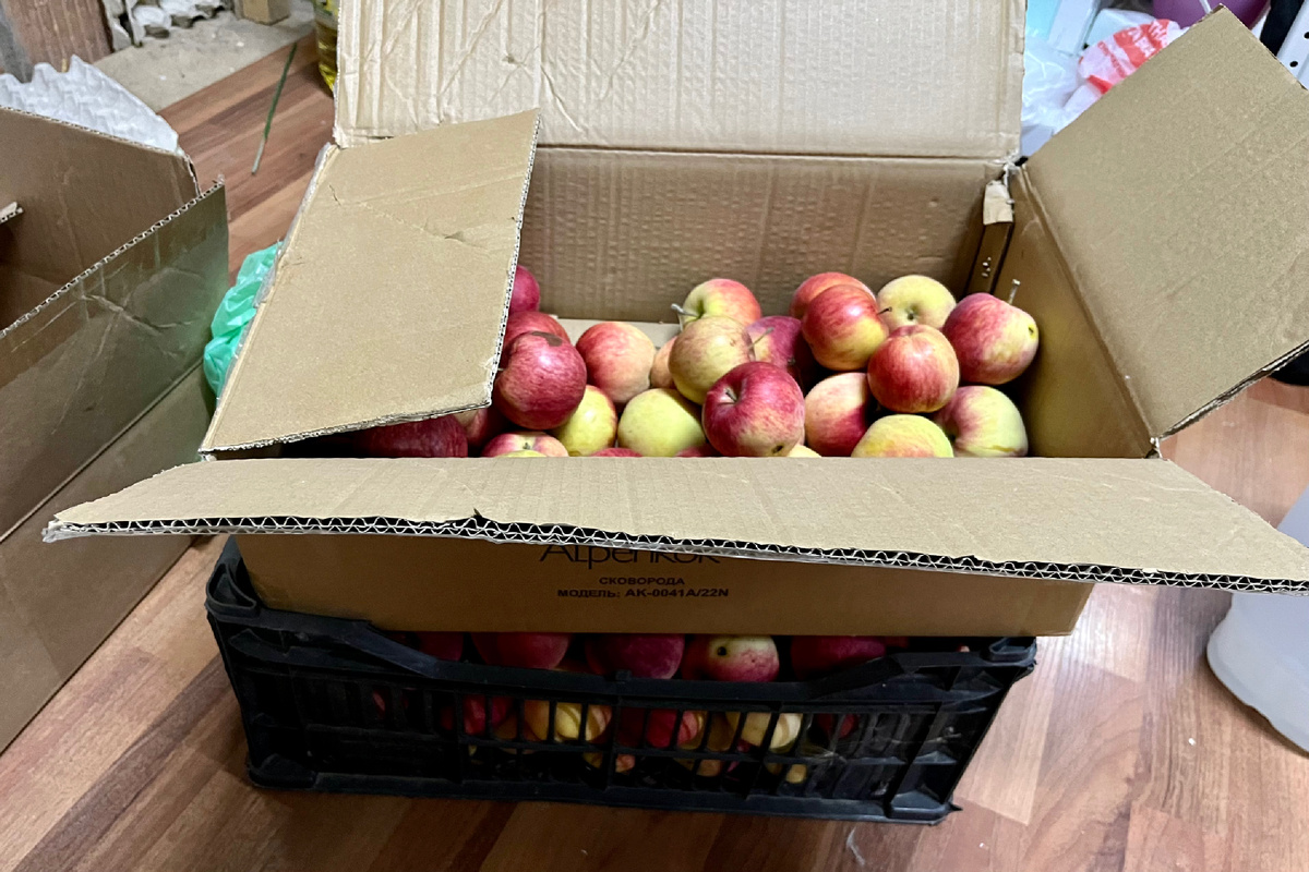 Здесь только часть тех яблок, что на нас свалились
