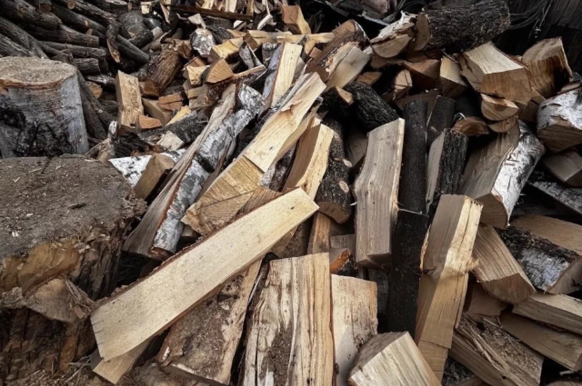    Житель ЕАО срубил дубы ради пара в бане и получил уголовное дело