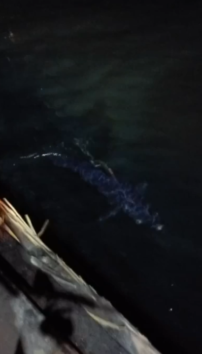    Источник фото: