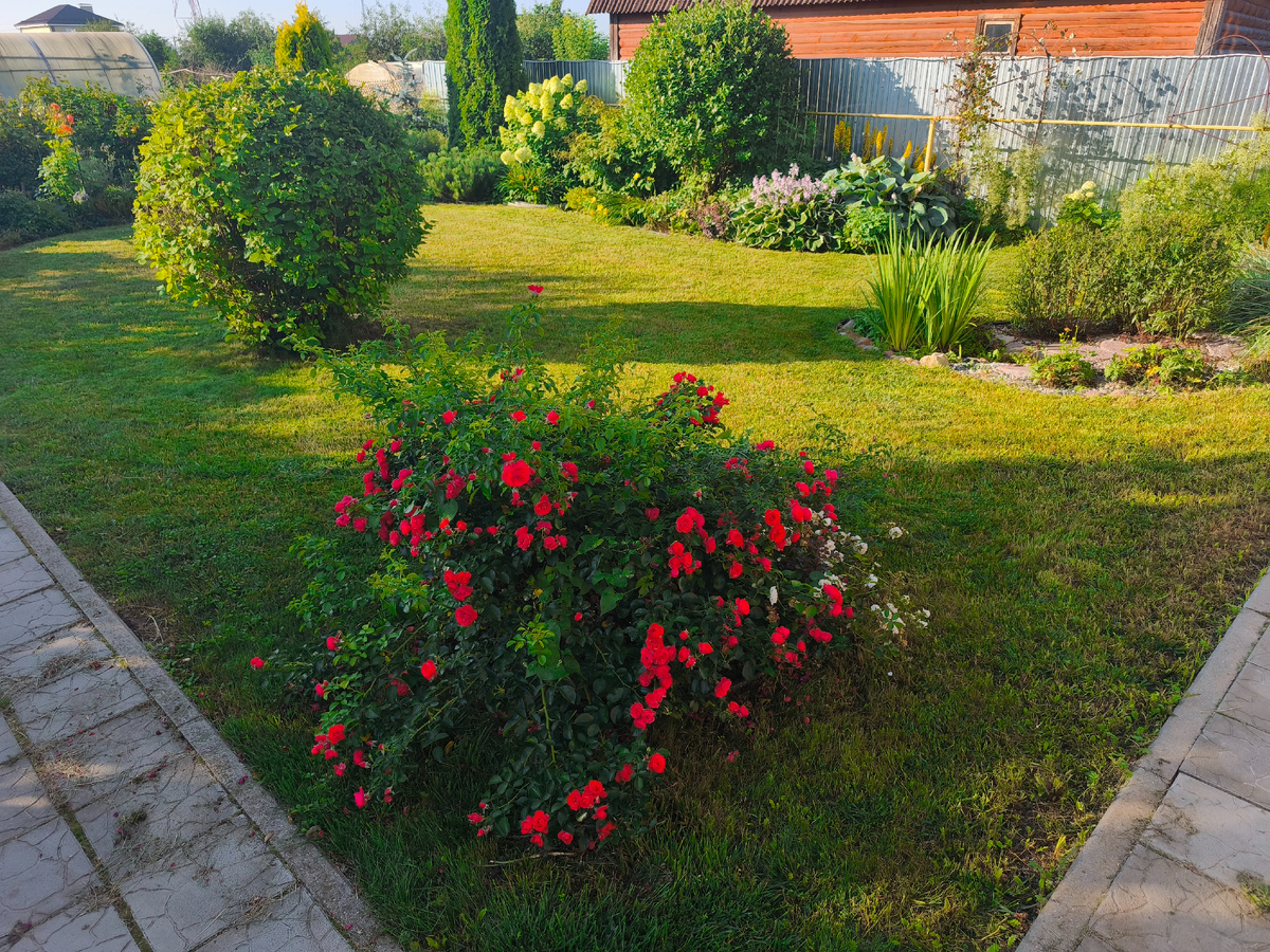 Начало августа