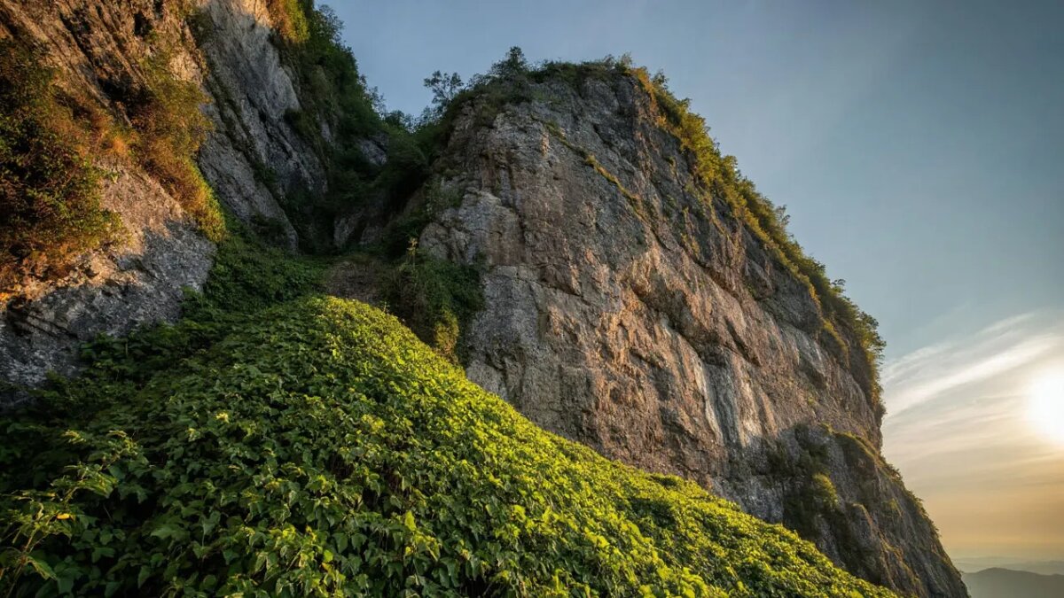    Сгенерировано ИИ