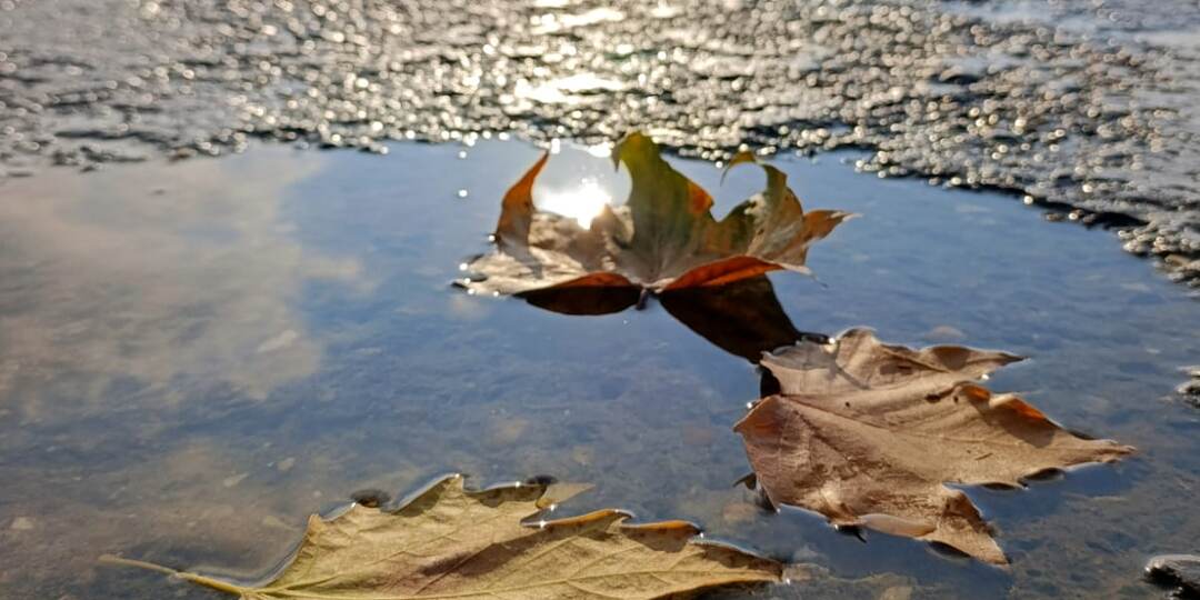 «Кто хочет, того судьба ведет, кто не хочет, того тащит»