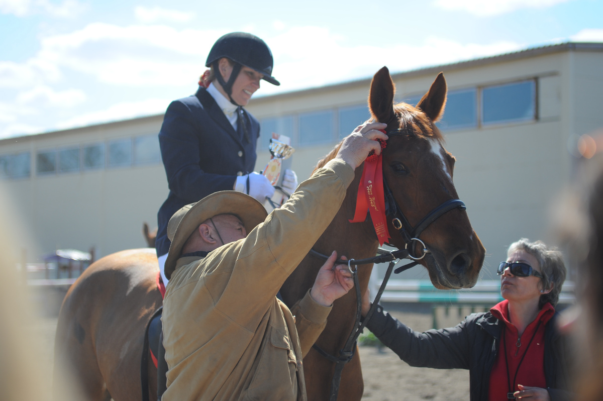 Аристократ чемпион