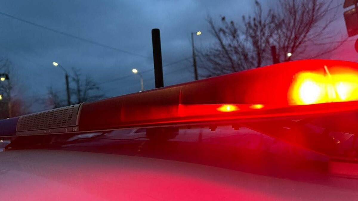    фото: Телеканал Краснодар