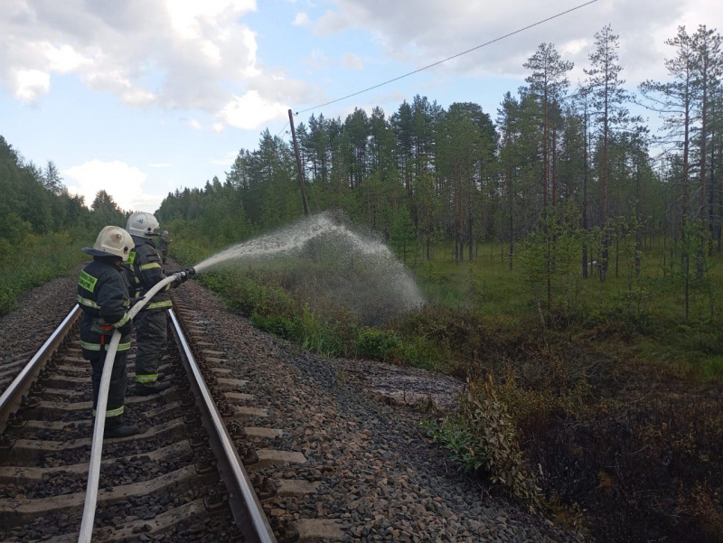    Пожар произошел в Суоярви из-за упавшей опоры ЛЭП Госкомитет Карелии по безопасности