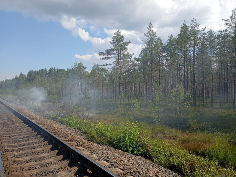    Пожар произошел в Суоярви из-за упавшей опоры ЛЭП Госкомитет Карелии по безопасности