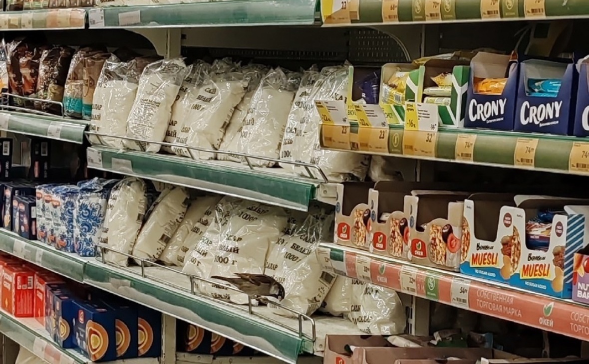 Фото: РБК Черноземье