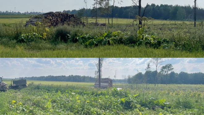 Фото: Официальный канал комитета по природным ресурсам Ленинградской области