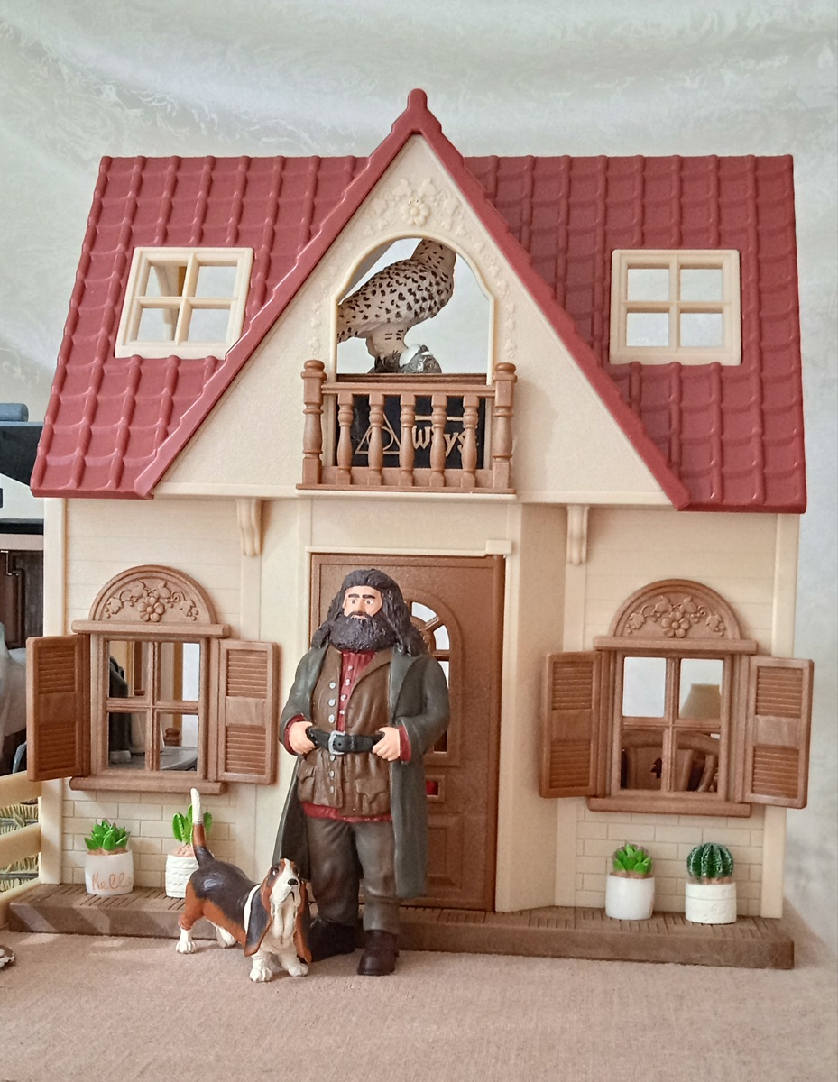 Фото автоора