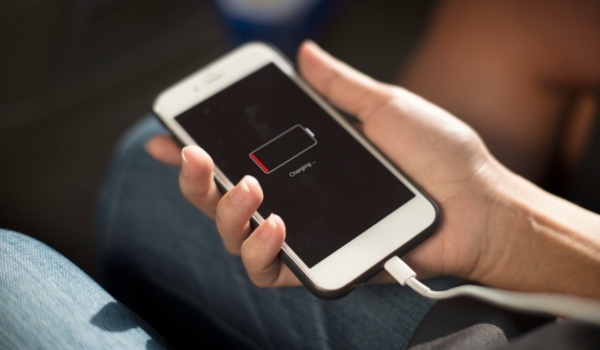    Фото: freepik.com