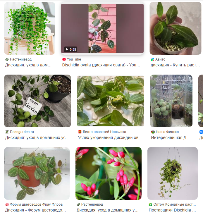 В середине моя фотография