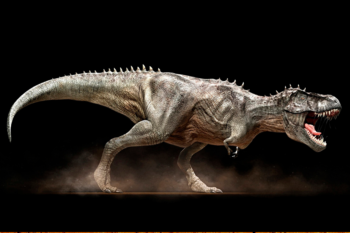 2  тиреннозавр